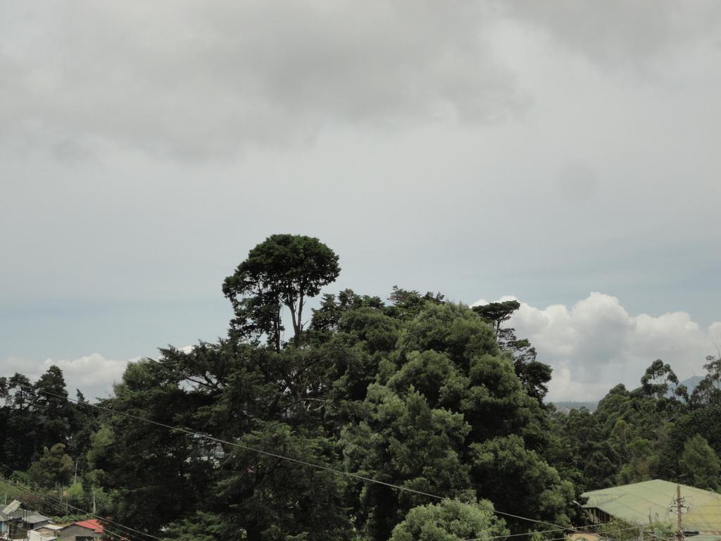 Srihelyes Inn Nuwara Eliya Exterior foto